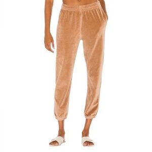 Anine Bing Sport Women's Evan Velour Jogger Pants